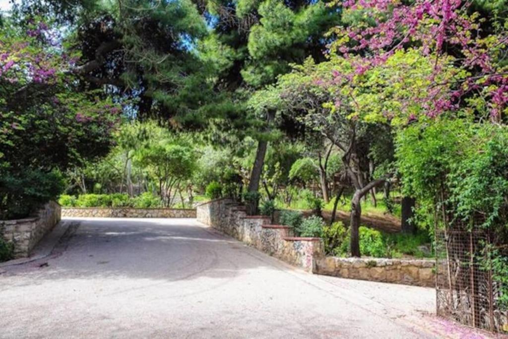 Newly Renovated-City Center Apartment Atenas Exterior foto